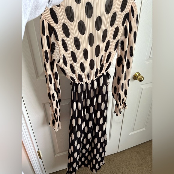 Polka Dot Dress - Picture 2 of 4